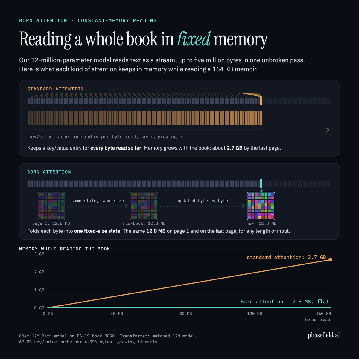 Standard attention stores one cache entry per byte and grows to 2.7 GB over the book; Born attention carries one fixed 12.8 MB state